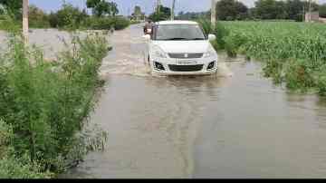 weather  punjabi news