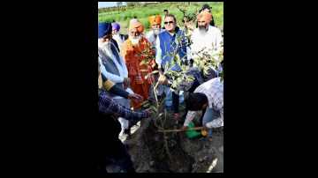 On-World-Sikh-Environment-Day-Saplings-Planted-On-Bank-Of-buddha-Dariya-
