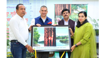 World-Forestry-Day-Dc-Releases-Pictorial-Work-On-Forest-Around-Ludhiana