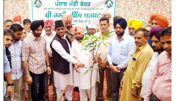 environment  punjabi news