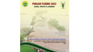 -Punjab-Agricultural-University-s-Report-On-The-Punjab-Floods-2023-Rainfall-Patterns-In-Punjab-And-Himachal-Pradesh-