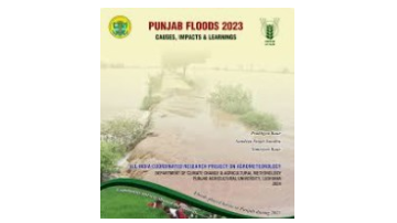 -Punjab-Agricultural-University-s-Report-On-The-Punjab-Floods-2023-Rainfall-Patterns-In-Punjab-And-Himachal-Pradesh-