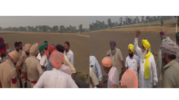 agriculture punjabi news