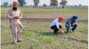 agriculture punjabi news