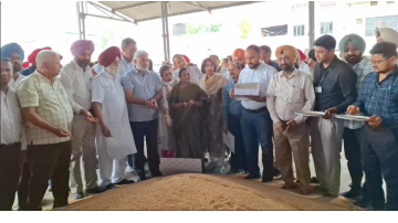 agriculture punjabi news
