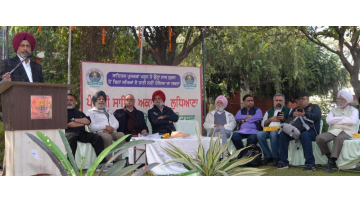 literature  punjabi news