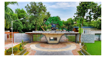 environment  punjabi news