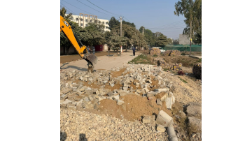 local body punjabi news