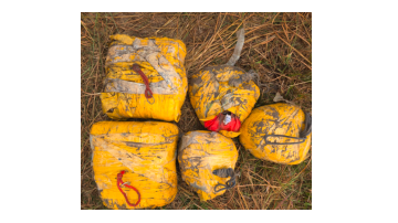 national punjabi news