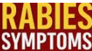 Suspected-Rabies-Cases-From-Jagraon-Declared-Negative-After-Pgi-Chandigarh-Examination