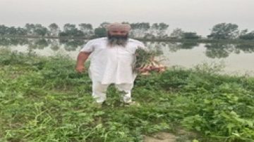 agriculture punjabi news