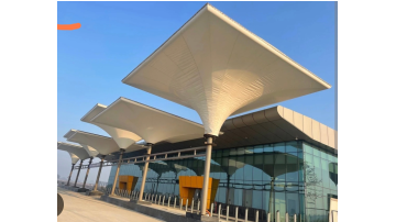 business punjabi news