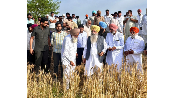 agriculture punjabi news