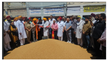 agriculture punjabi news image 