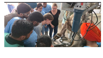 ' . $rp_categories.' ' .$lang .' news image 