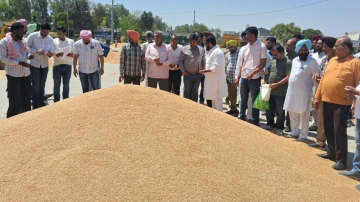 agriculture punjabi news