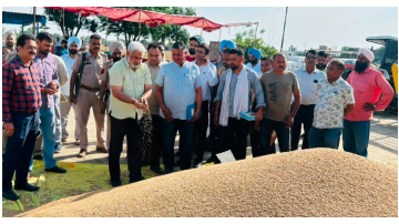 ' . $rp_categories.' ' .$lang .' news image 