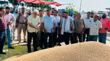 agriculture punjabi news image 