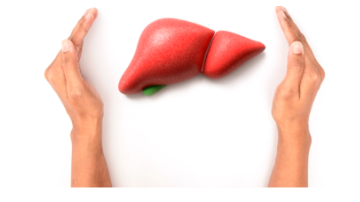 ' . $rp_categories.' ' .$lang .' news image 