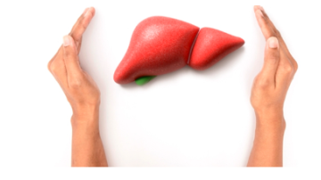 ' . $rp_categories.' ' .$lang .' news image 