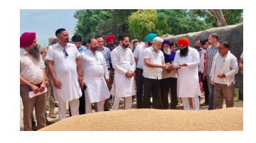 ' . $rp_categories.' ' .$lang .' news image 