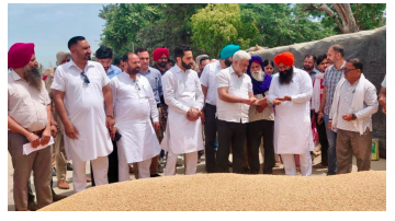 ' . $rp_categories.' ' .$lang .' news image 