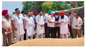 ' . $rp_categories.' ' .$lang .' news image 