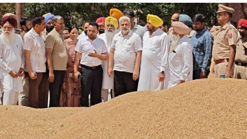 ' . $rp_categories.' ' .$lang .' news image 