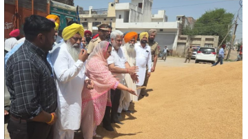 agriculture punjabi news image 