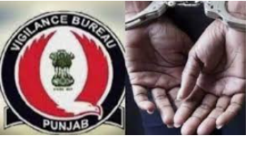 ' . $rp_categories.' ' .$lang .' news image 