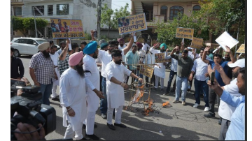 politics punjabi news