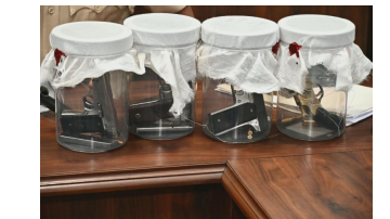 crime punjabi news image 