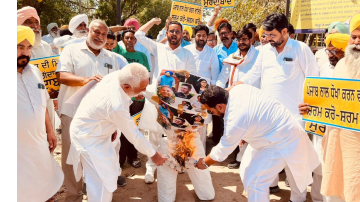 ' . $rp_categories.' ' .$lang .' news image 