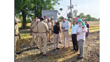 agriculture punjabi news