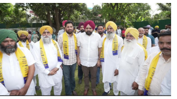 politics punjabi news image 