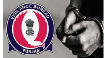 crime punjabi news image 
