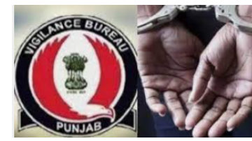 Vigilance-Bureau-Nabs-Patwari-Red-Handed-Accepting-Bribe-Of-Rs-8-000