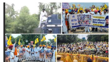 crime punjabi news image 