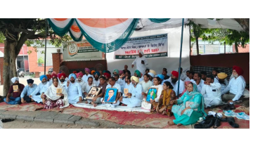 politics punjabi news