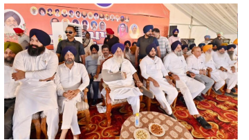 politics punjabi news image 
