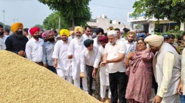 -paddyprocurement-punjabmandi-lalchandkataruchak-paddyseason2026-punjabfarmers