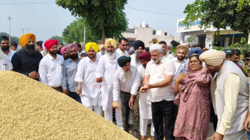 -paddyprocurement-punjabmandi-lalchandkataruchak-paddyseason2026-punjabfarmers