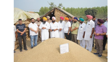 agriculture punjabi news image 