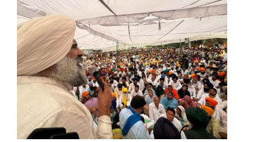 politics punjabi news image 